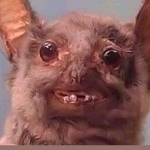 Meet your Posher, Lisset